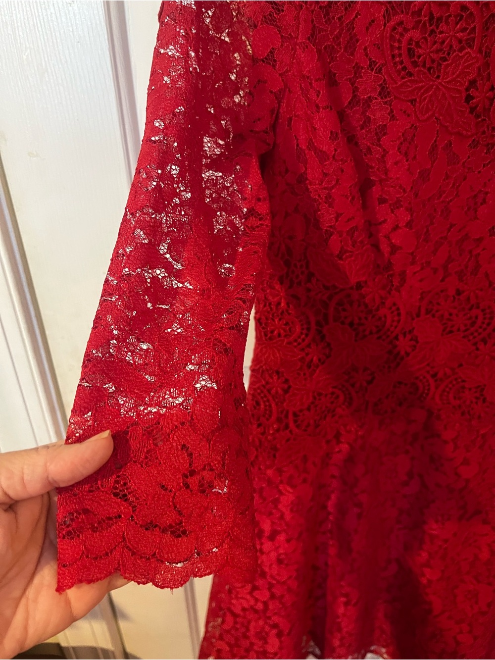 NWT Antonio Melani Red Lace Fit & Flare Dress Size 6 - Picture 4 of 8